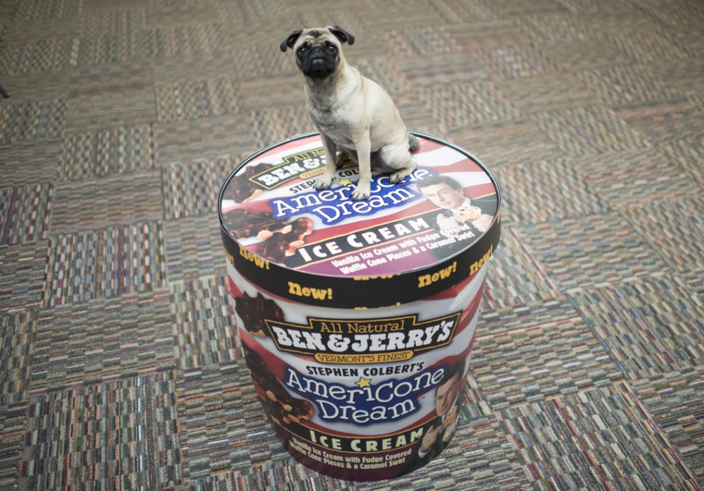 ben & jerry's office dogs