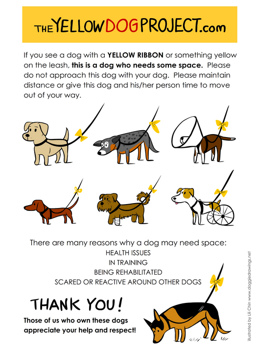 via The Yellow Dog Project
