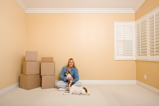 Pretty Woman and Dogs Sitting on the Floor with Moving Boxes in Empty Room