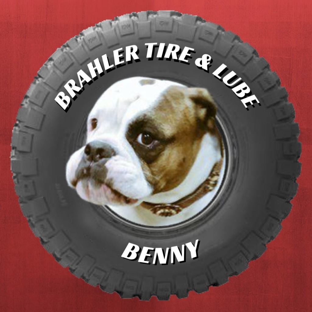 Brahler Tire and Lube office dog Benny